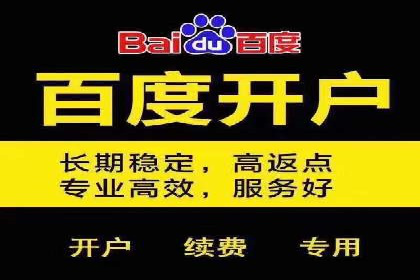 百度推广公司案例解析：如何利用百度推广实现快速转化