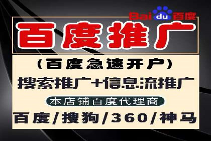 揭秘SEM代运营的成功要素与策略